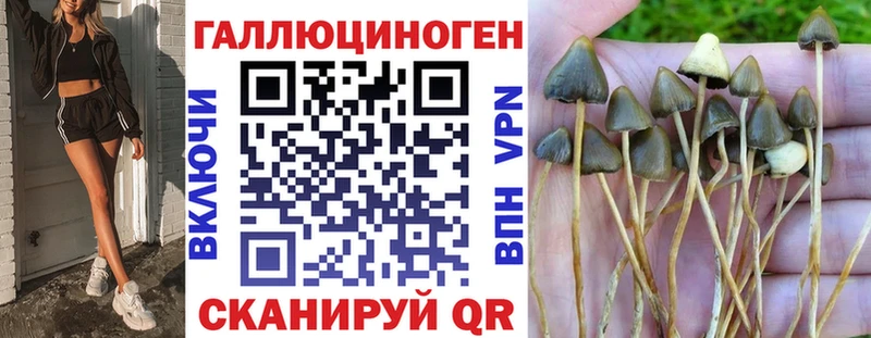 Псилоцибиновые грибы мицелий  купить   Берёзовка 