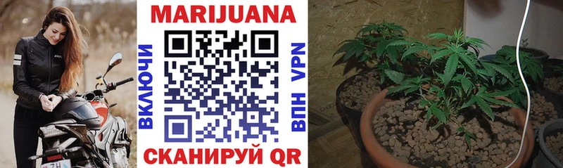 МАРИХУАНА SATIVA & INDICA Берёзовка
